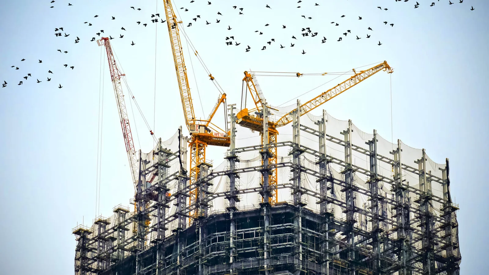 Estrutura e guindastes em obra